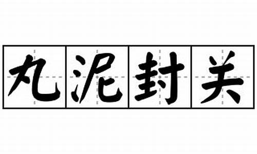 丸泥封关成语接龙-丸泥可以封函关是意思