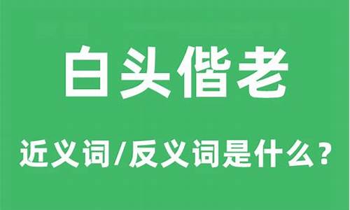 白头偕老的意思解释-白头偕老的意思大全