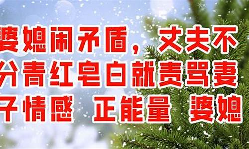 不分青红皂白就冤枉人的谚语-不分青红皂白歪曲事实怎么办