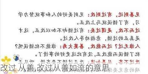 改过 从善,改过从善如流的意思