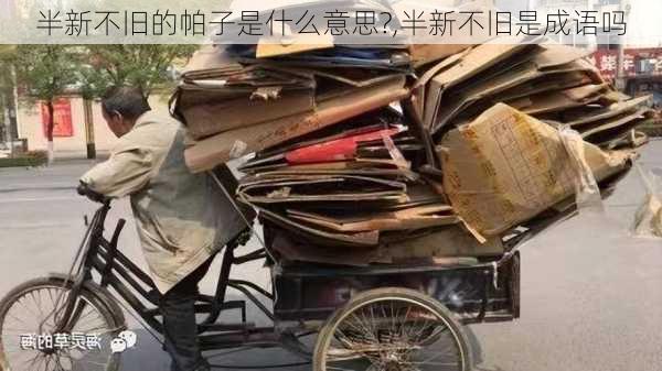 半新不旧的帕子是什么意思?,半新不旧是成语吗