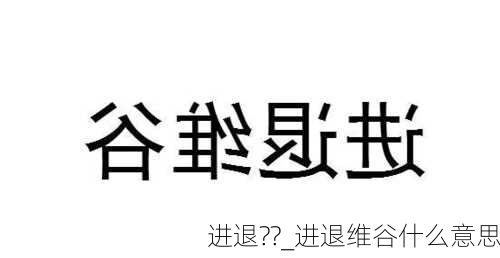 进退??_进退维谷什么意思