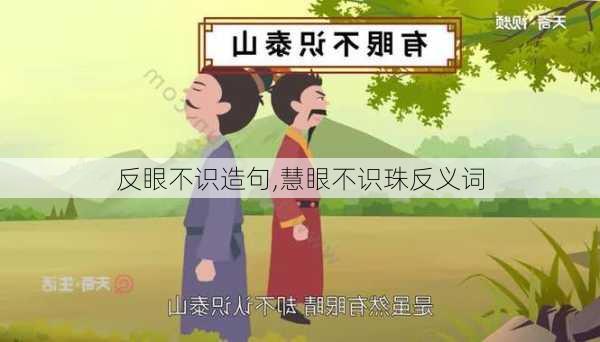 反眼不识造句,慧眼不识珠反义词