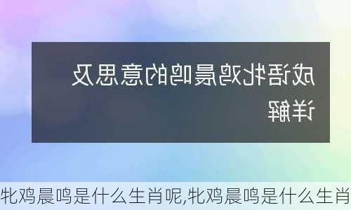 牝鸡晨鸣是什么生肖呢,牝鸡晨鸣是什么生肖