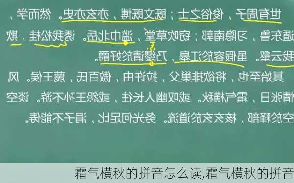 霜气横秋的拼音怎么读,霜气横秋的拼音