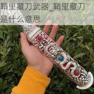 鞘里藏刀武器_鞘里藏刀是什么意思