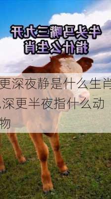 更深夜静是什么生肖,深更半夜指什么动物