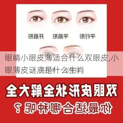 眼睛小眼皮薄适合什么双眼皮,小眼薄皮谜底是什么生肖