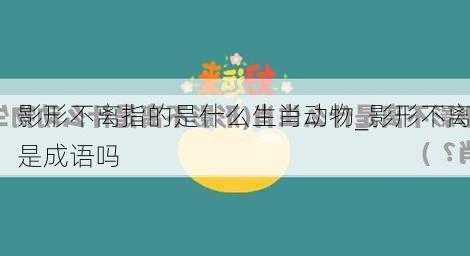 影形不离指的是什么生肖动物_影形不离是成语吗