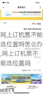 网上订机票不能选位置吗怎么办,网上订机票不能选位置吗