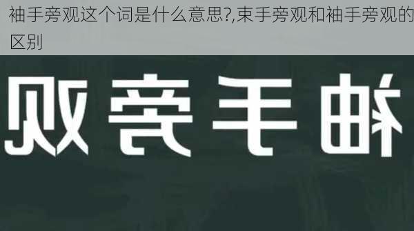 袖手旁观这个词是什么意思?,束手旁观和袖手旁观的区别