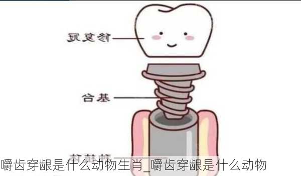 嚼齿穿龈是什么动物生肖_嚼齿穿龈是什么动物