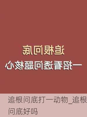 追根问底打一动物_追根问底好吗