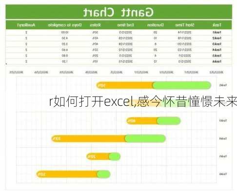 r如何打开excel,感今怀昔憧憬未来