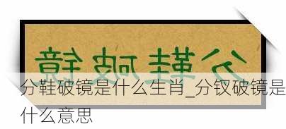 分鞋破镜是什么生肖_分钗破镜是什么意思