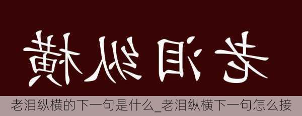 老泪纵横的下一句是什么_老泪纵横下一句怎么接