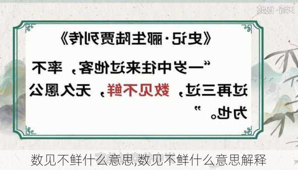 数见不鲜什么意思,数见不鲜什么意思解释