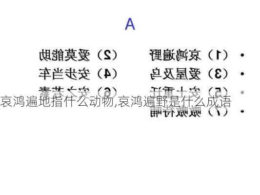 哀鸿遍地指什么动物,哀鸿遍野是什么成语