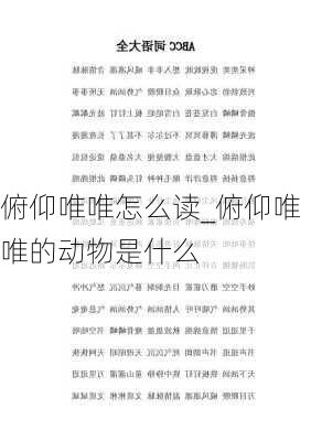 俯仰唯唯怎么读_俯仰唯唯的动物是什么