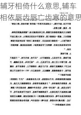 辅牙相倚什么意思,辅车相依唇齿唇亡齿寒的意思