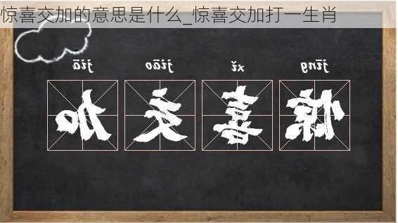 惊喜交加的意思是什么_惊喜交加打一生肖