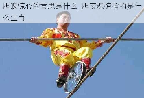 胆魄惊心的意思是什么_胆丧魂惊指的是什么生肖