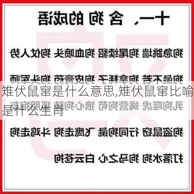 雉伏鼠窜是什么意思,雉伏鼠窜比喻是什么生肖