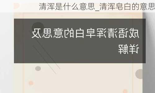 清浑是什么意思_清浑皂白的意思