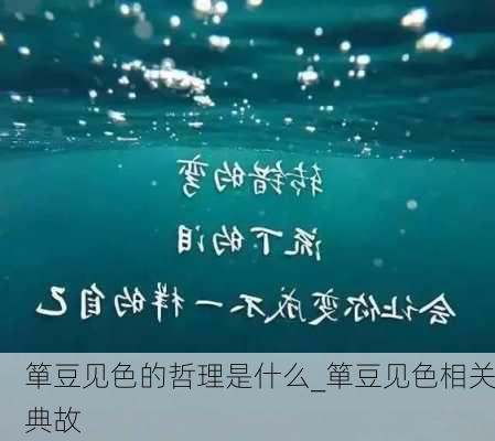 箪豆见色的哲理是什么_箪豆见色相关典故