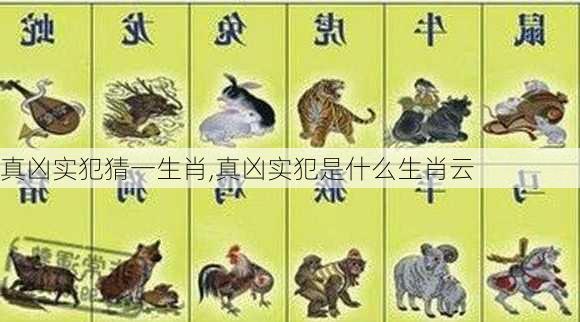 真凶实犯猜一生肖,真凶实犯是什么生肖云