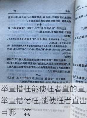 举直措枉能使枉者直的直,举直错诸枉,能使枉者直出自哪一篇