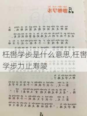 枉辔学步是什么意思,枉辔学步力止寿陵