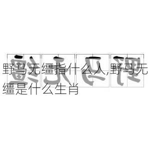 野马无缰指什么人,野马无缰是什么生肖