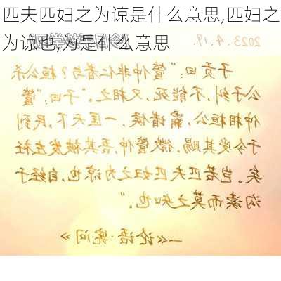 匹夫匹妇之为谅是什么意思,匹妇之为谅也,为是什么意思