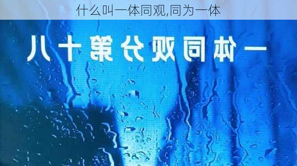 什么叫一体同观,同为一体