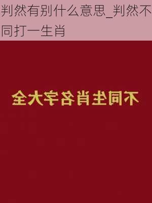 判然有别什么意思_判然不同打一生肖