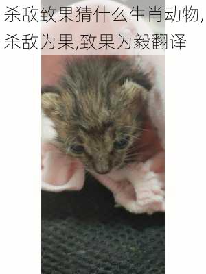 杀敌致果猜什么生肖动物,杀敌为果,致果为毅翻译