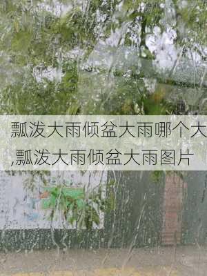 瓢泼大雨倾盆大雨哪个大,瓢泼大雨倾盆大雨图片