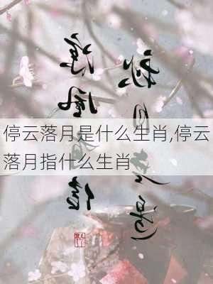 停云落月是什么生肖,停云落月指什么生肖