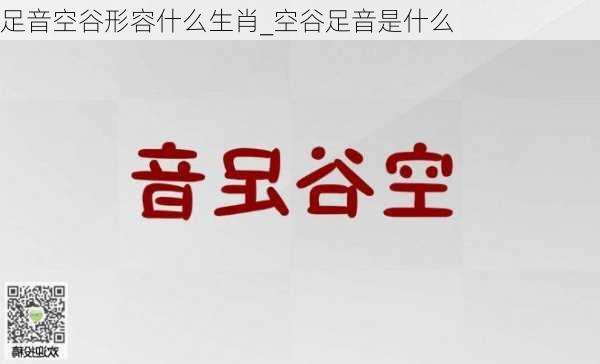 足音空谷形容什么生肖_空谷足音是什么