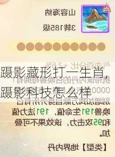 蹑影藏形打一生肖,蹑影科技怎么样