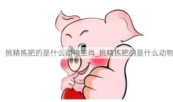 挑精拣肥的是什么动物生肖_挑精拣肥的是什么动物