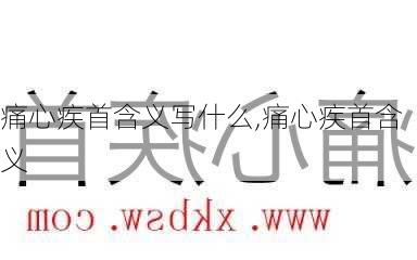 痛心疾首含义写什么,痛心疾首含义