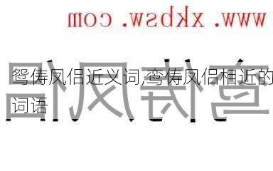 鸳俦凤侣近义词,鸾俦凤侣相近的词语