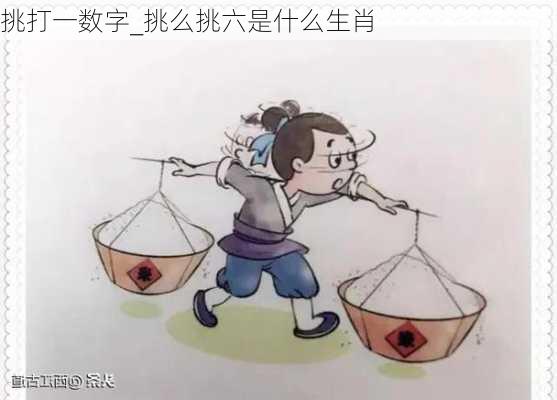 挑打一数字_挑么挑六是什么生肖