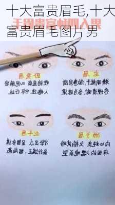 十大富贵眉毛,十大富贵眉毛图片男