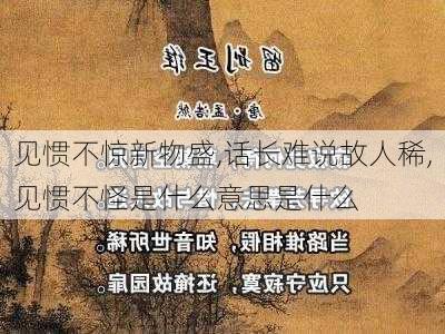 见惯不惊新物盛,话长难说故人稀,见惯不怪是什么意思是什么