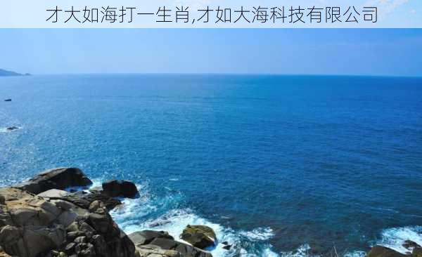 才大如海打一生肖,才如大海科技有限公司