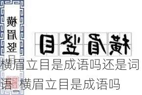 横眉立目是成语吗还是词语_横眉立目是成语吗