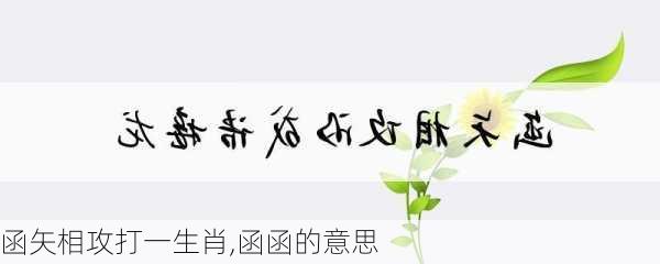 函矢相攻打一生肖,函函的意思